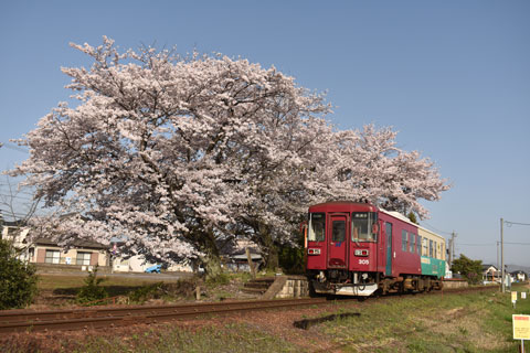 nagaragawa