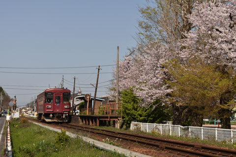 nagaragawa