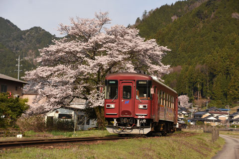 nagaragawa