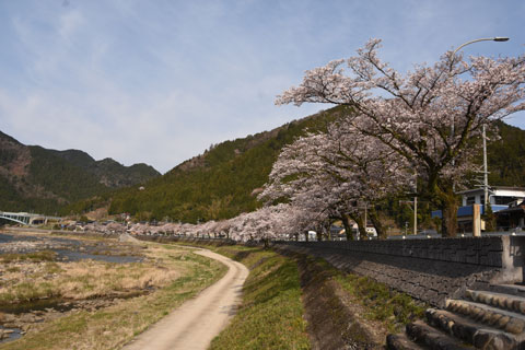 nagaragawa