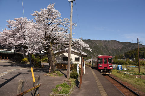 nagaragawa