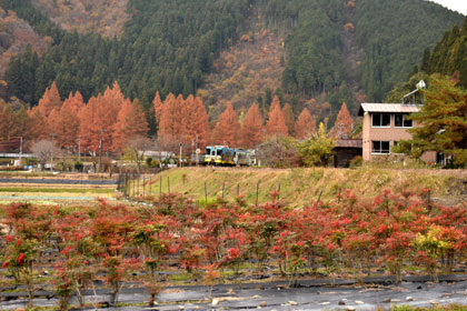 nagaragawa