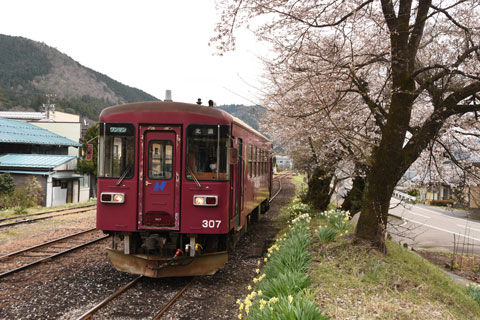 nagaragawa