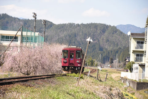nagaragawa